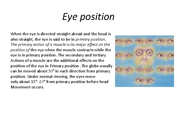 Eye position When the eye is directed straight ahead and the head is also Eye position When the eye is directed straight ahead and the head is also