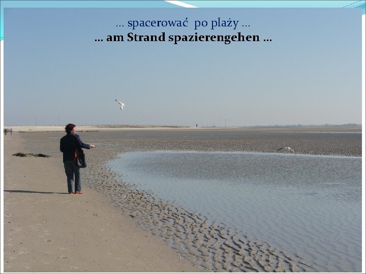 … spacerować po plaży … … am Strand spazierengehen … 