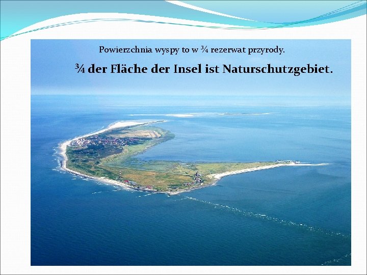 Powierzchnia wyspy to w ¾ rezerwat przyrody. ¾ der Fläche der Insel ist Naturschutzgebiet.