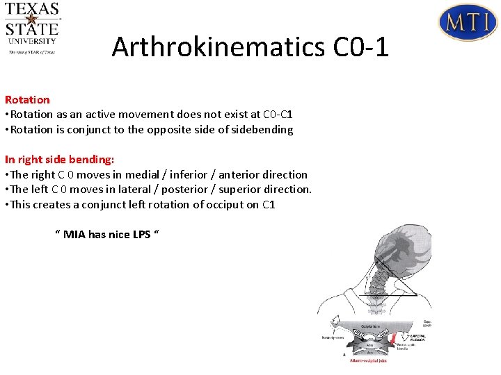 Arthrokinematics C 0 -1 Rotation • Rotation as an active movement does not exist