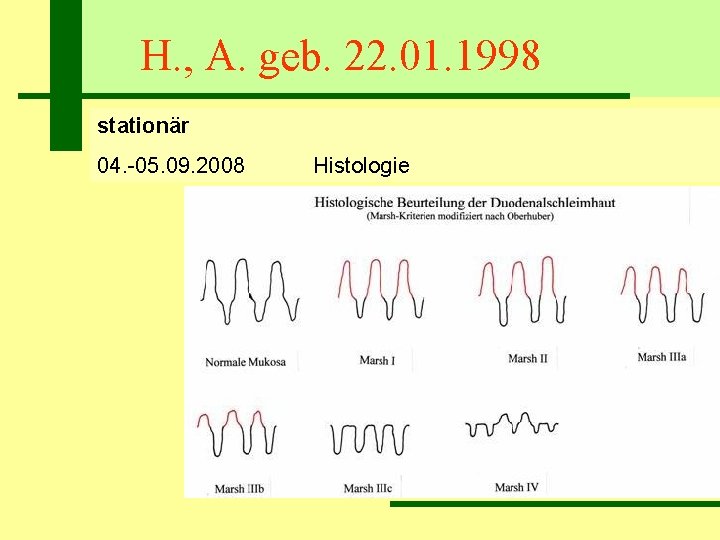 H. , A. geb. 22. 01. 1998 stationär 04. -05. 09. 2008 Histologie 