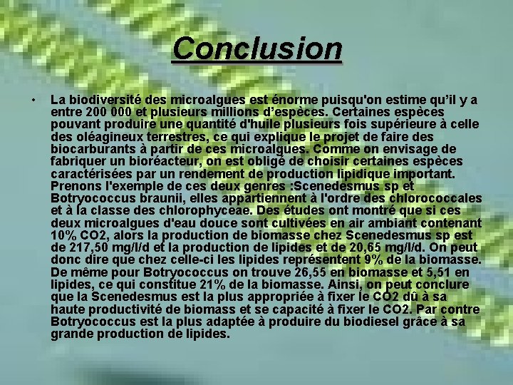 Conclusion • La biodiversité des microalgues est énorme puisqu'on estime qu’il y a entre