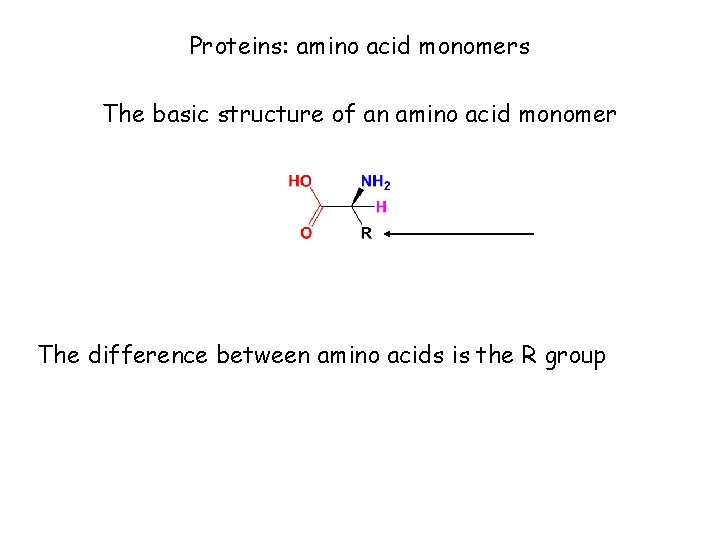 Proteins: amino acid monomers The basic structure of an amino acid monomer The difference