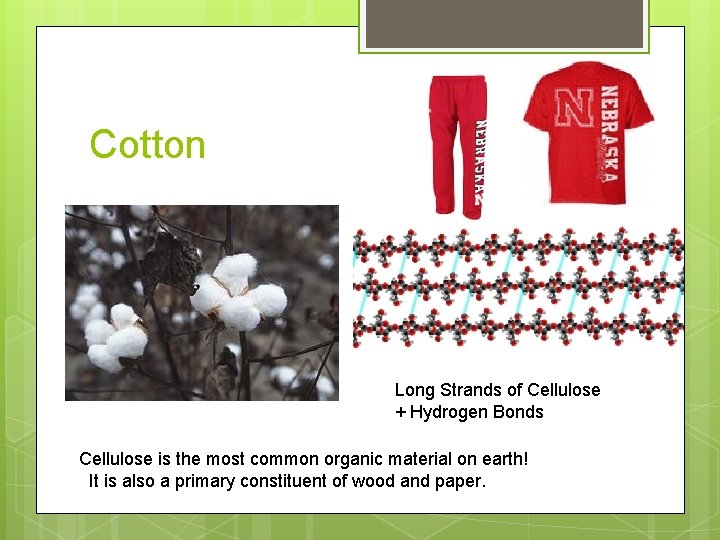Cotton Long Strands of Cellulose + Hydrogen Bonds Cellulose is the most common organic