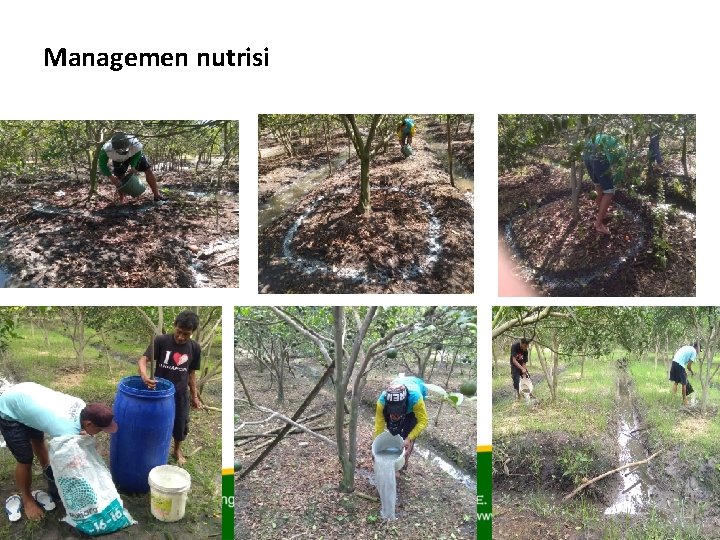 Managemen nutrisi 