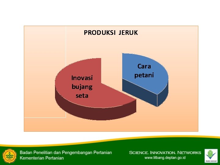 PRODUKSI JERUK Inovasi bujang seta Cara petani 