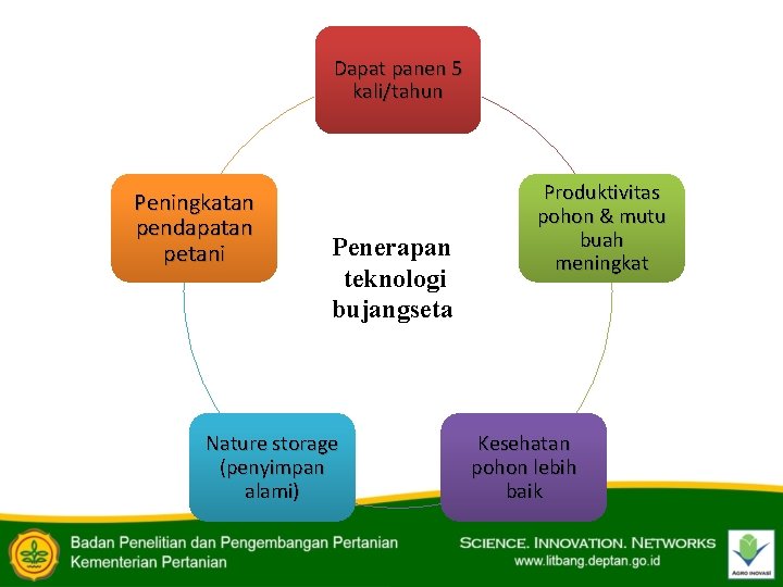 Dapat panen 5 kali/tahun Peningkatan pendapatan petani Penerapan teknologi bujangseta Nature storage (penyimpan alami)