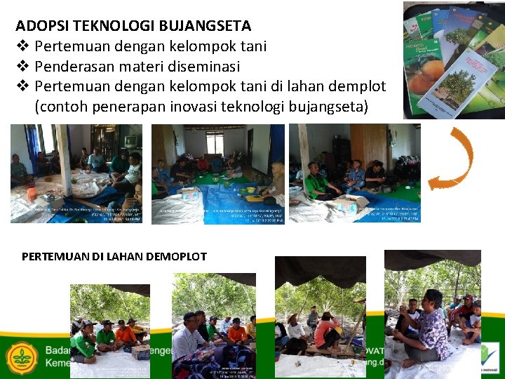 ADOPSI TEKNOLOGI BUJANGSETA v Pertemuan dengan kelompok tani v Penderasan materi diseminasi v Pertemuan