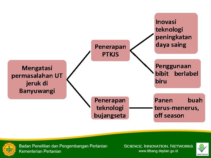 Penerapan PTKJS Inovasi teknologi peningkatan daya saing Penggunaan bibit berlabel biru Mengatasi permasalahan UT