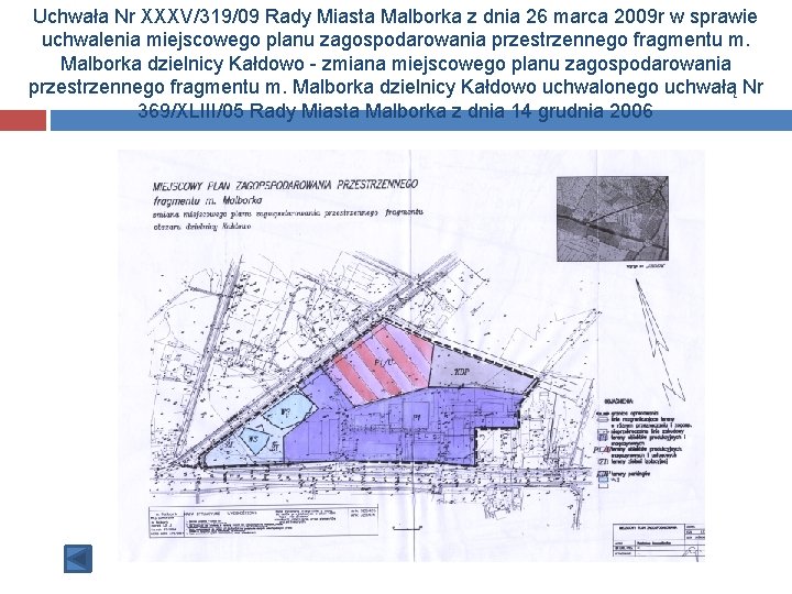 Uchwała Nr XXXV/319/09 Rady Miasta Malborka z dnia 26 marca 2009 r w sprawie