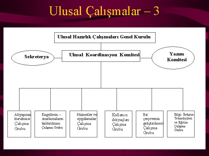 Ulusal Çalışmalar – 3 