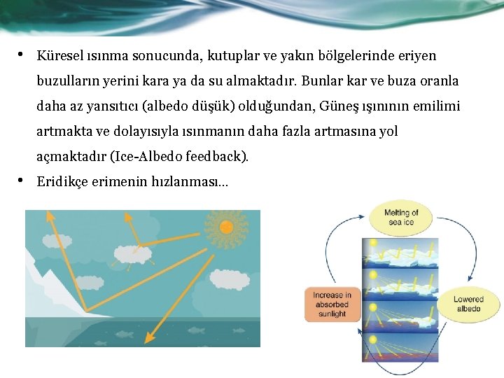  • Küresel ısınma sonucunda, kutuplar ve yakın bölgelerinde eriyen buzulların yerini kara ya