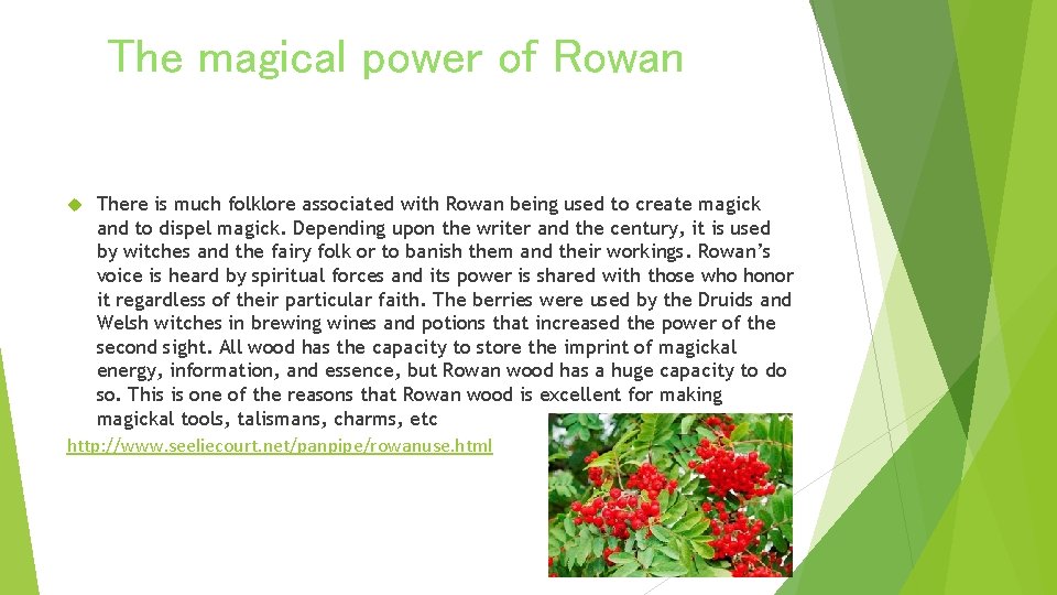 The magical power of Rowan There is much folklore associated with Rowan being used