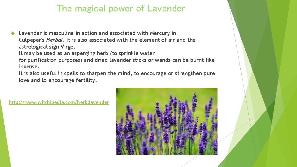 The magical power of Lavender is masculine in action and associated with Mercury in