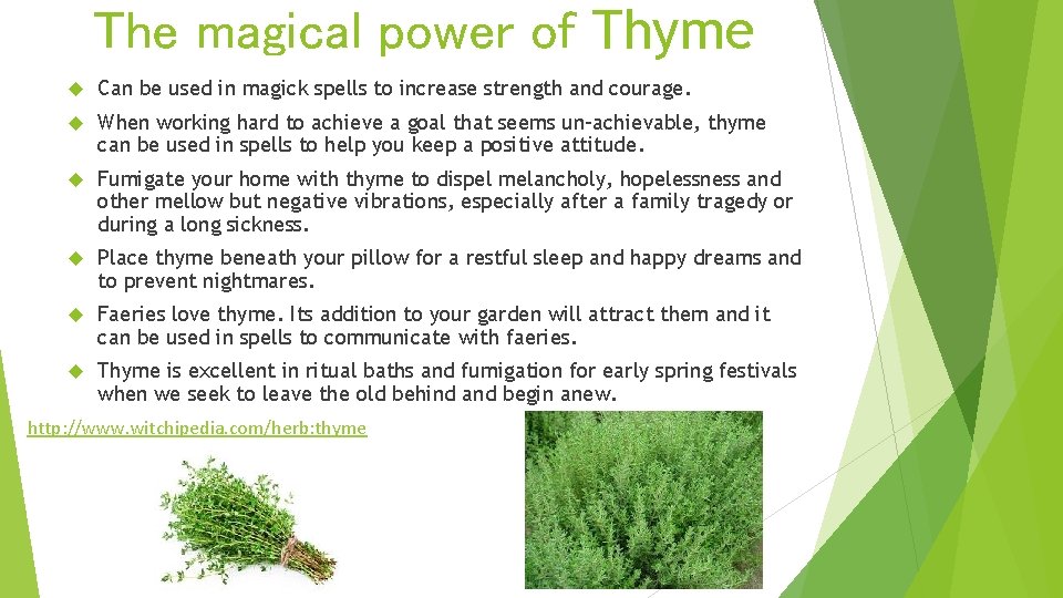 The magical power of Thyme Can be used in magick spells to increase strength