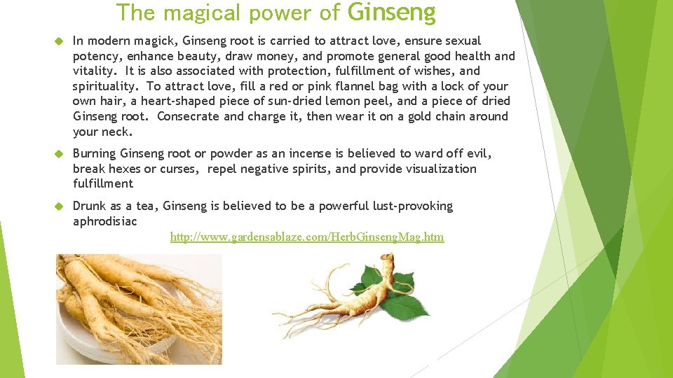 The magical power of Ginseng In modern magick, Ginseng root is carried to attract