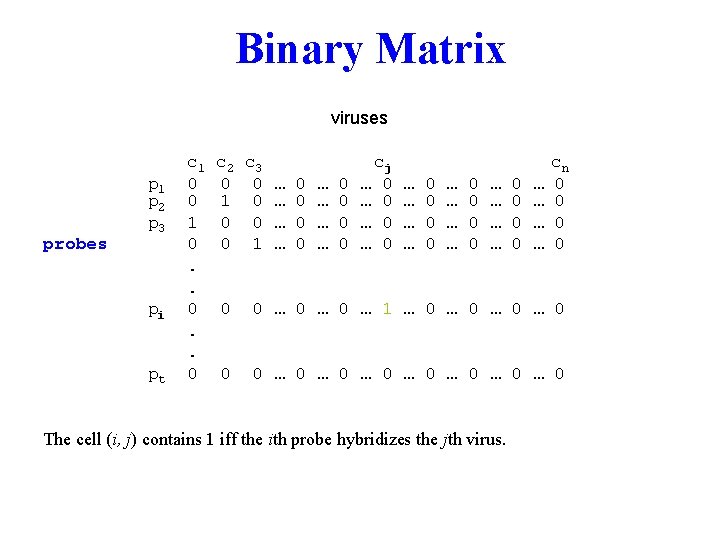 Binary Matrix viruses probes p 1 p 2 p 3 pi pt c 1