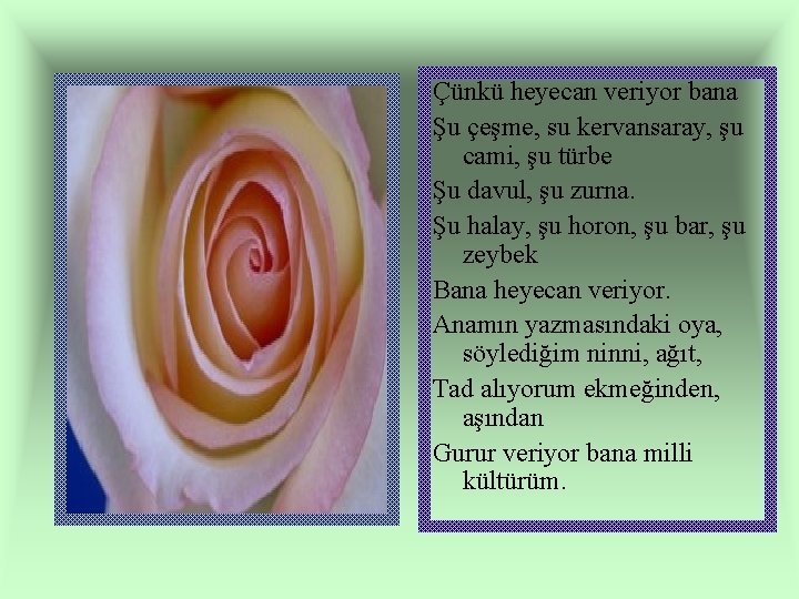 Çünkü heyecan veriyor bana Şu çeşme, su kervansaray, şu cami, şu türbe Şu davul,