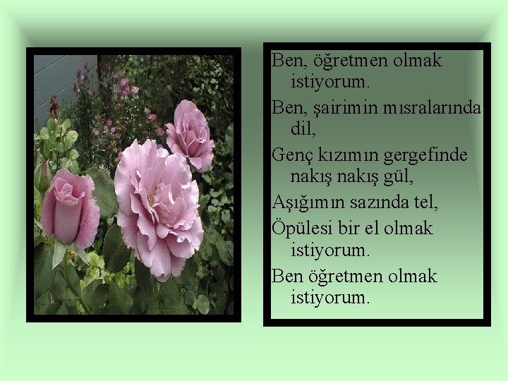 Ben, öğretmen olmak istiyorum. Ben, şairimin mısralarında dil, Genç kızımın gergefinde nakış gül, Aşığımın