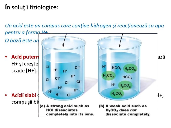 În soluţii fiziologice: Un acid este un compus care conţine hidrogen şi reacţionează cu