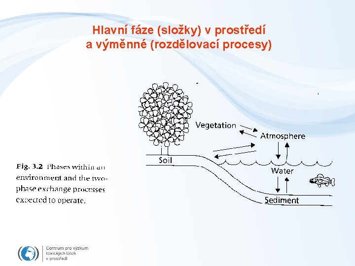 Hlavní fáze (složky) v prostředí a výměnné (rozdělovací procesy) 