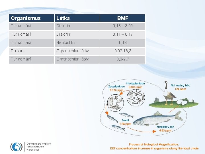 Organismus Látka BMF Tur domácí Dieldrin 0, 13 – 3, 95 Tur domácí Dieldrin