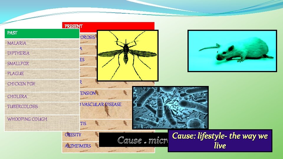 PRESENT PAST MALARIA DIPTHERIA SMALLPOX OSTEOPOROSIS ASTHMA DIABETES PLAGUE STROKE CHICKEN POX CANCER CHOLERA