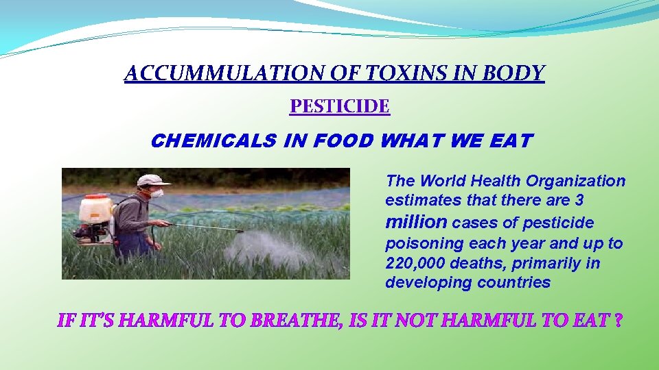 ACCUMMULATION OF TOXINS IN BODY PESTICIDE CHEMICALS IN FOOD WHAT WE EAT The World