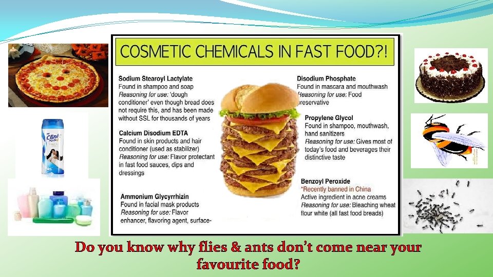 Do you know why flies & ants don’t come near your favourite food? 