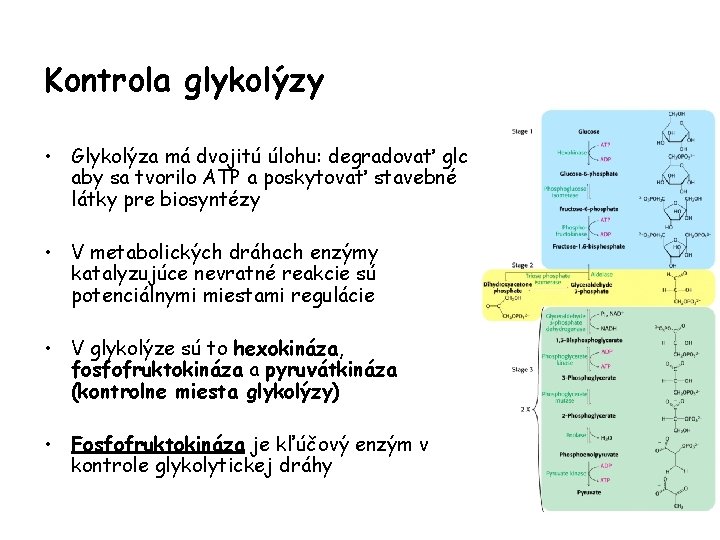 Kontrola glykolýzy • Glykolýza má dvojitú úlohu: degradovať glc aby sa tvorilo ATP a