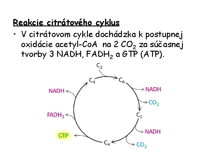 Reakcie citrátového cyklus • V citrátovom cykle dochádzka k postupnej oxidácie acetyl-Co. A na