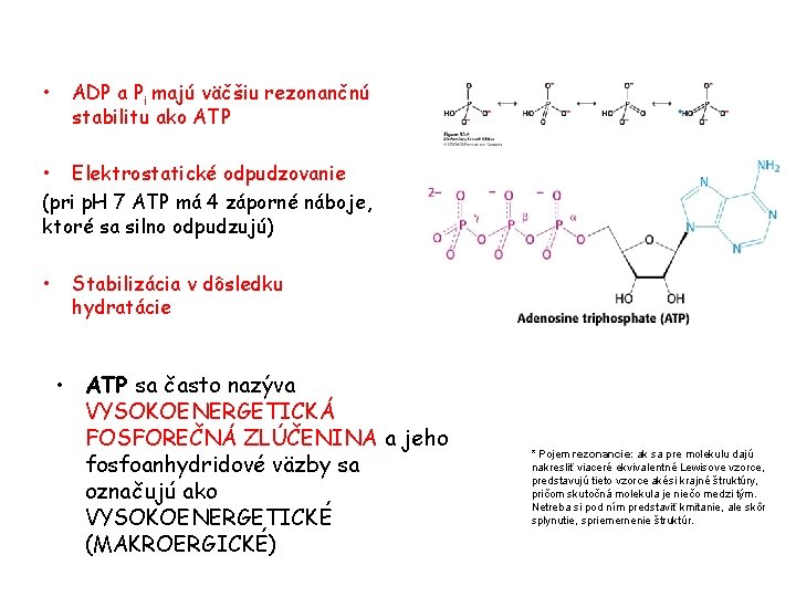  • ADP a Pi majú väčšiu rezonančnú stabilitu ako ATP • Elektrostatické odpudzovanie