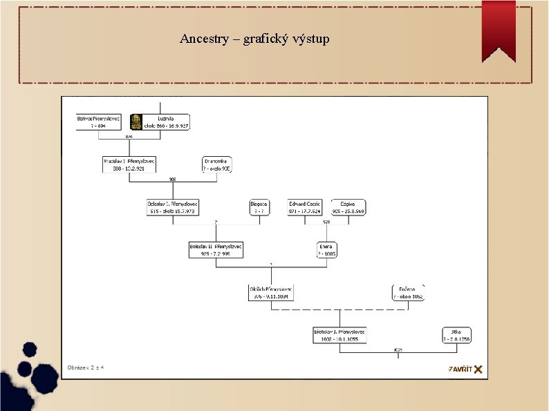 Ancestry – grafický výstup 