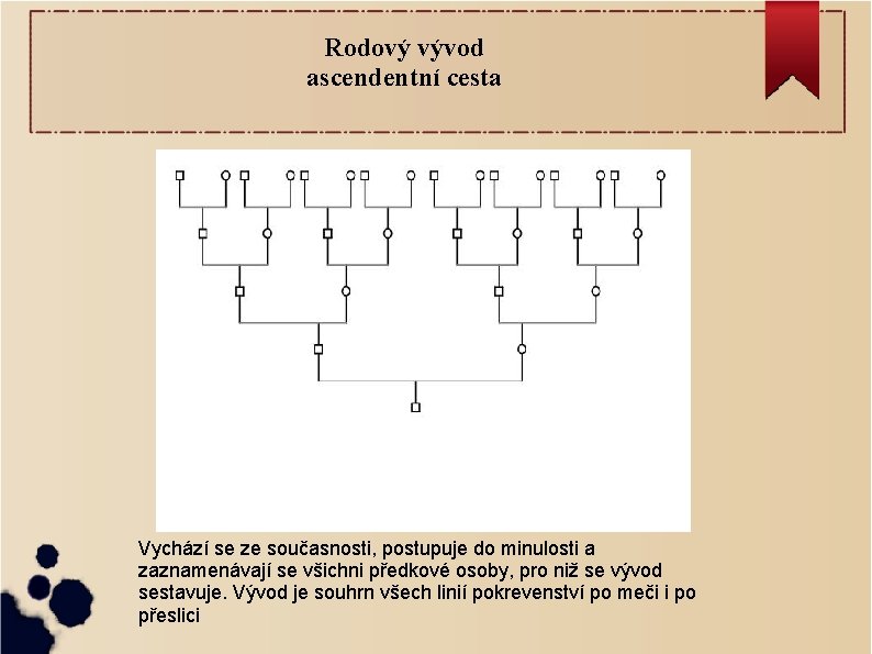 Rodový vývod ascendentní cesta Vychází se ze současnosti, postupuje do minulosti a zaznamenávají se