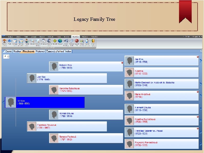 Legacy Family Tree 
