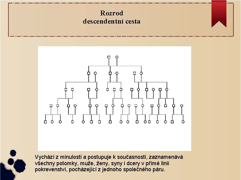 Rozrod descendentní cesta Vychází z minulosti a postupuje k současnosti, zaznamenává všechny potomky, muže,