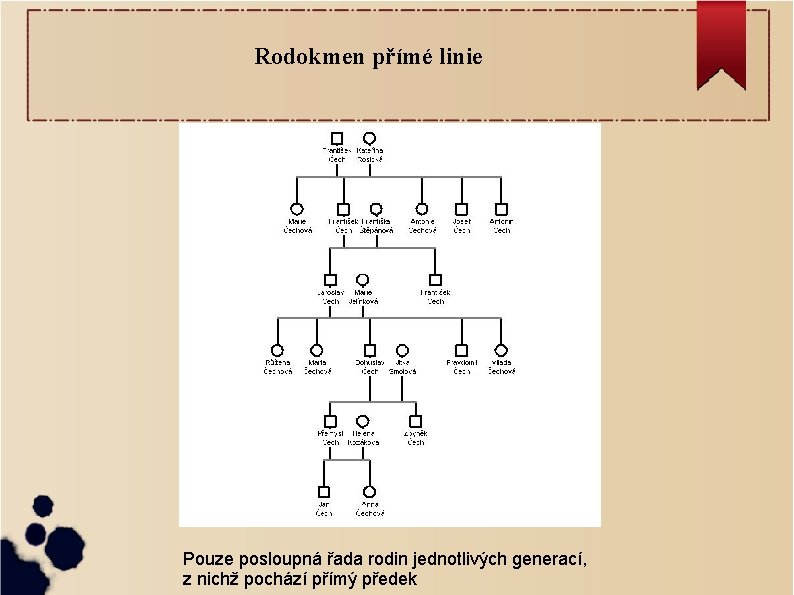 Rodokmen přímé linie Pouze posloupná řada rodin jednotlivých generací, z nichž pochází přímý předek