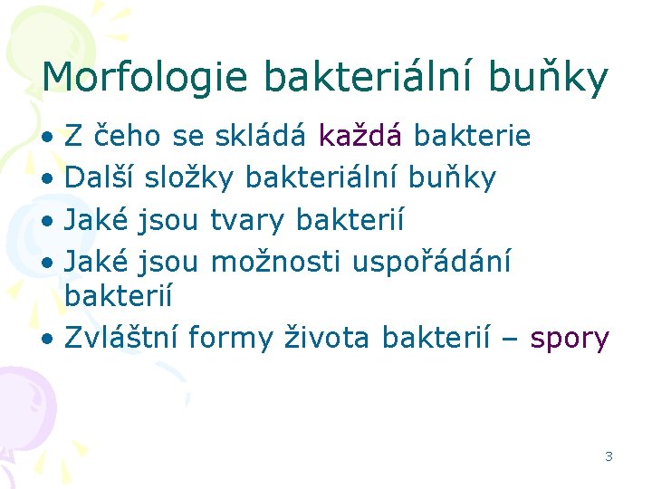 Morfologie bakteriální buňky • Z čeho se skládá každá bakterie • Další složky bakteriální