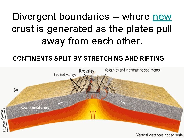 Divergent boundaries -- where new crust is generated as the plates pull away from