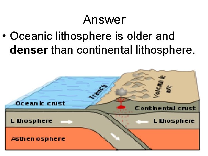 Answer • Oceanic lithosphere is older and denser than continental lithosphere. 
