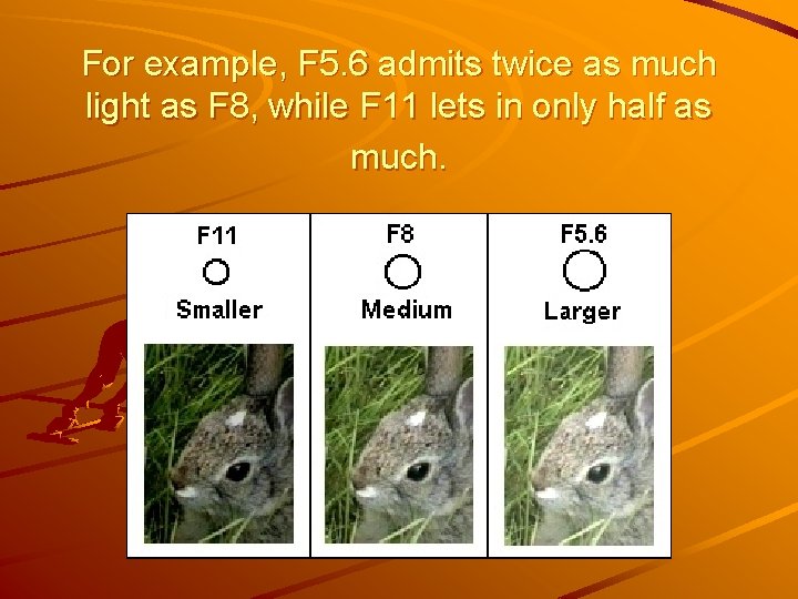 For example, F 5. 6 admits twice as much light as F 8, while