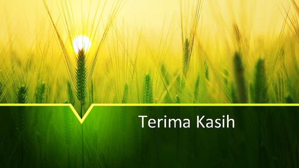 Terima Kasih 