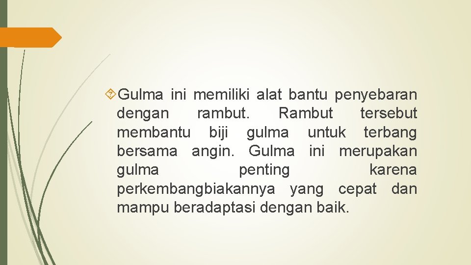  Gulma ini memiliki alat bantu penyebaran dengan rambut. Rambut tersebut membantu biji gulma