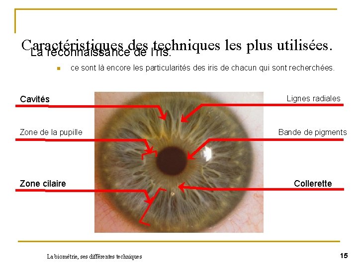 Caractéristiques des techniques les plus utilisées. La reconnaissance de l’ris. n ce sont là