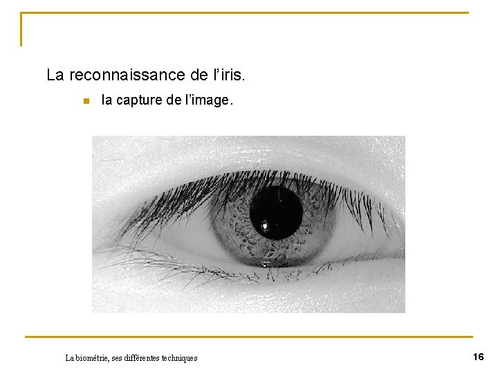 La reconnaissance de l’iris. n la capture de l’image. La biométrie, ses différentes techniques