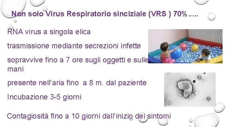 Non solo Virus Respiratorio sinciziale (VRS ) 70%. . . RNA virus a singola