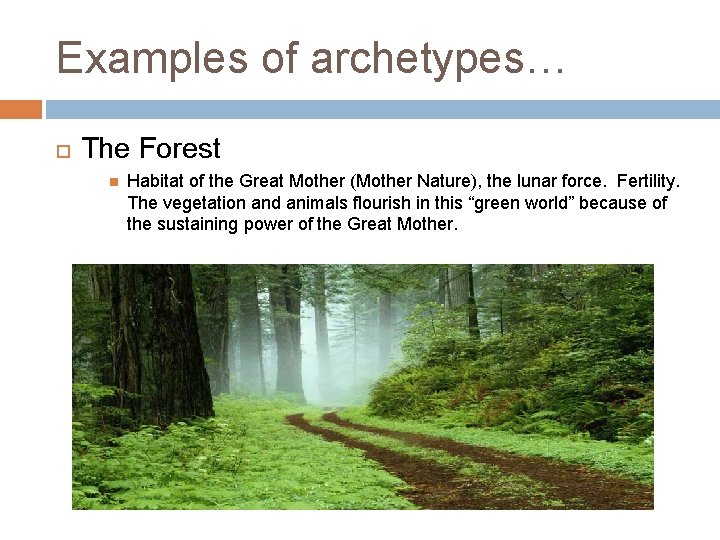 Examples of archetypes… The Forest Habitat of the Great Mother (Mother Nature), the lunar