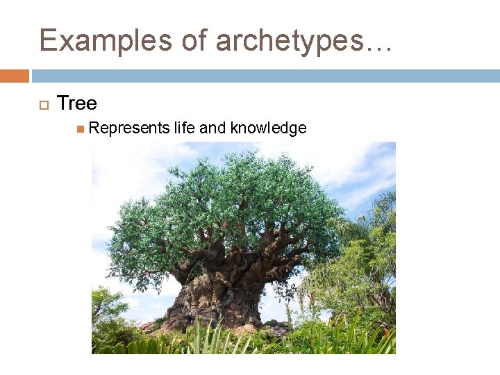 Examples of archetypes… Tree Represents life and knowledge 