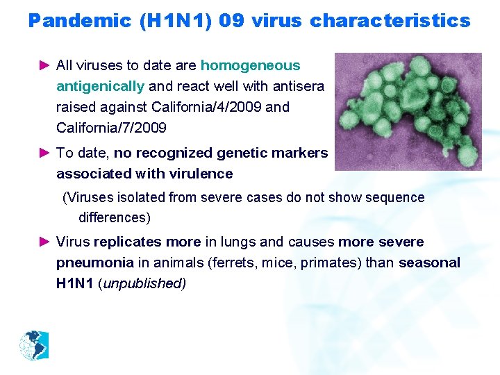 Pandemic (H 1 N 1) 09 virus characteristics ► All viruses to date are