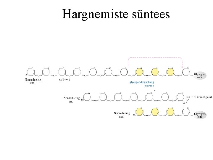 Hargnemiste süntees 